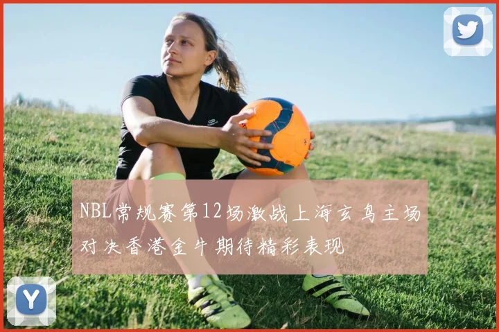 NBL常规赛第12场激战上海玄鸟主场对决香港金牛期待精彩表现